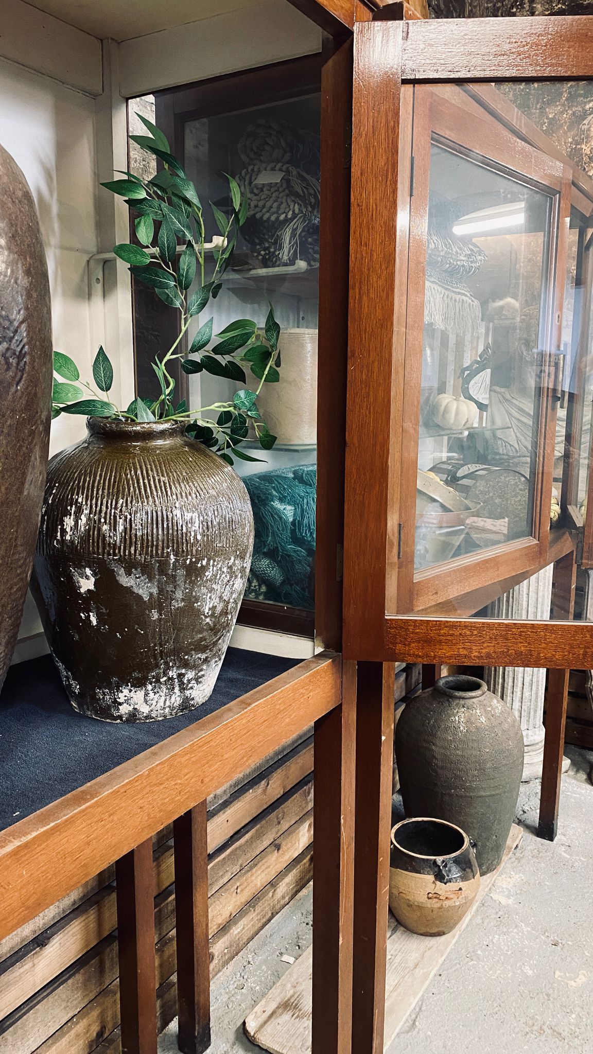 Antique Glass Fronted Wooden Museum Display Cabinet